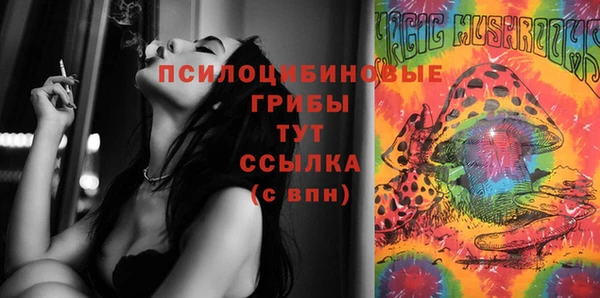 меф Новодвинск