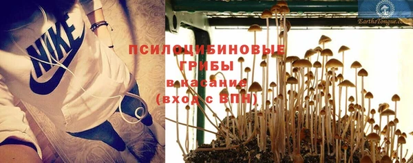 spice Няндома
