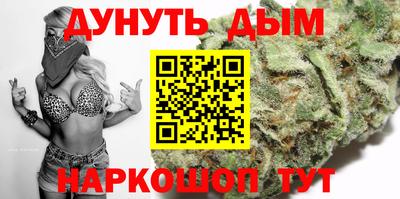сатива Малгобек